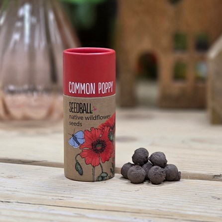 Wildflower Seed Balls in a Tube - Common Poppy Garden Seed Balls Gifts For Gardeners Mother's Day Gifts Grow Your Own Wildflower Gifts Scatter Seed
