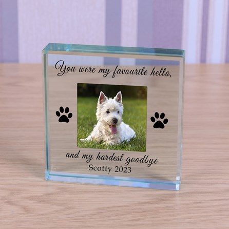 Personalised 'You Were My Favourite...' Pet Memory Photo Glass Token Sentiment Gifts Memorial Keepsake Gifts Animal Lover Gifts Pet Loss Gifts Glass Photo Token