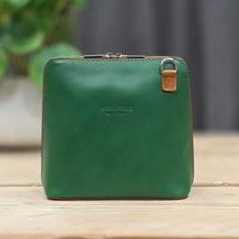 Leather Cross Body Handbag in Green and Tan