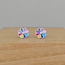 Sterling Silver Flower Earrings Gifts For Women Birthday Gifts Friendship Gifts Sterling Silver And Enamel Rainbow Flower Stud Earrings