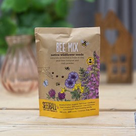 Wildflower Seed Balls Grab Bag - Bee Mix