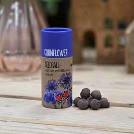 Wildflower Seed Balls in a Tube - Cornflower