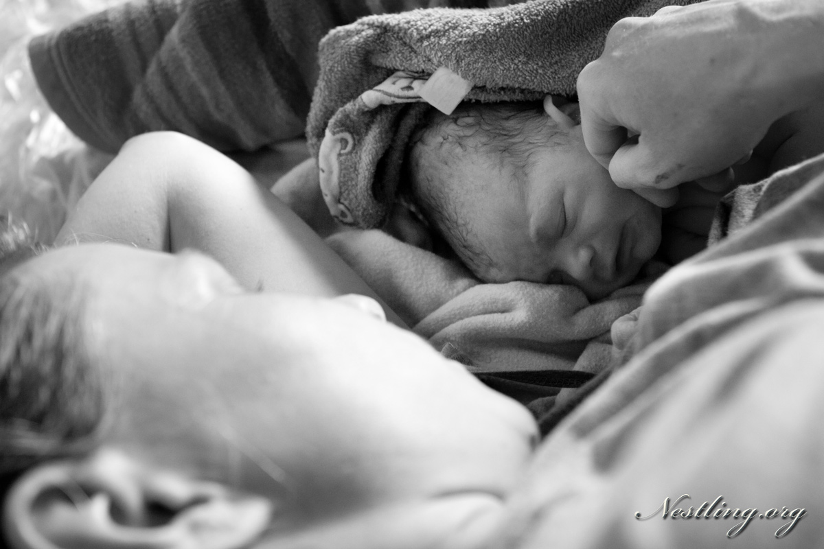 Hausgeburt mit Hindernissen Nestling