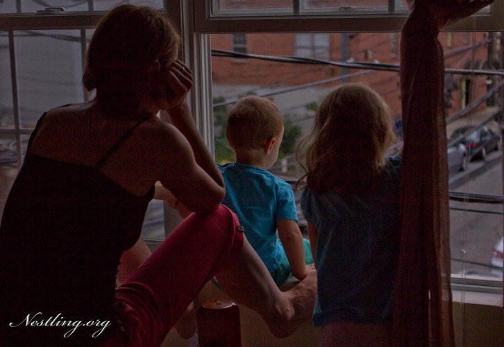 Fenster