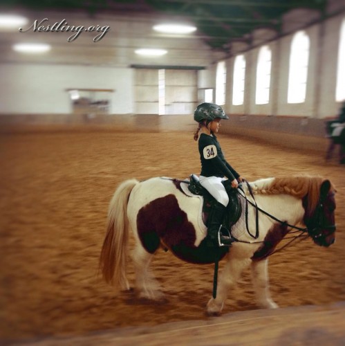 reiten