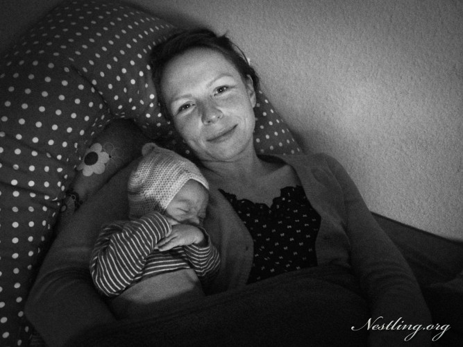Nestling2