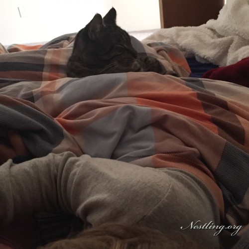 Familienbett