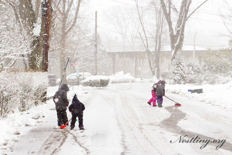 Winter