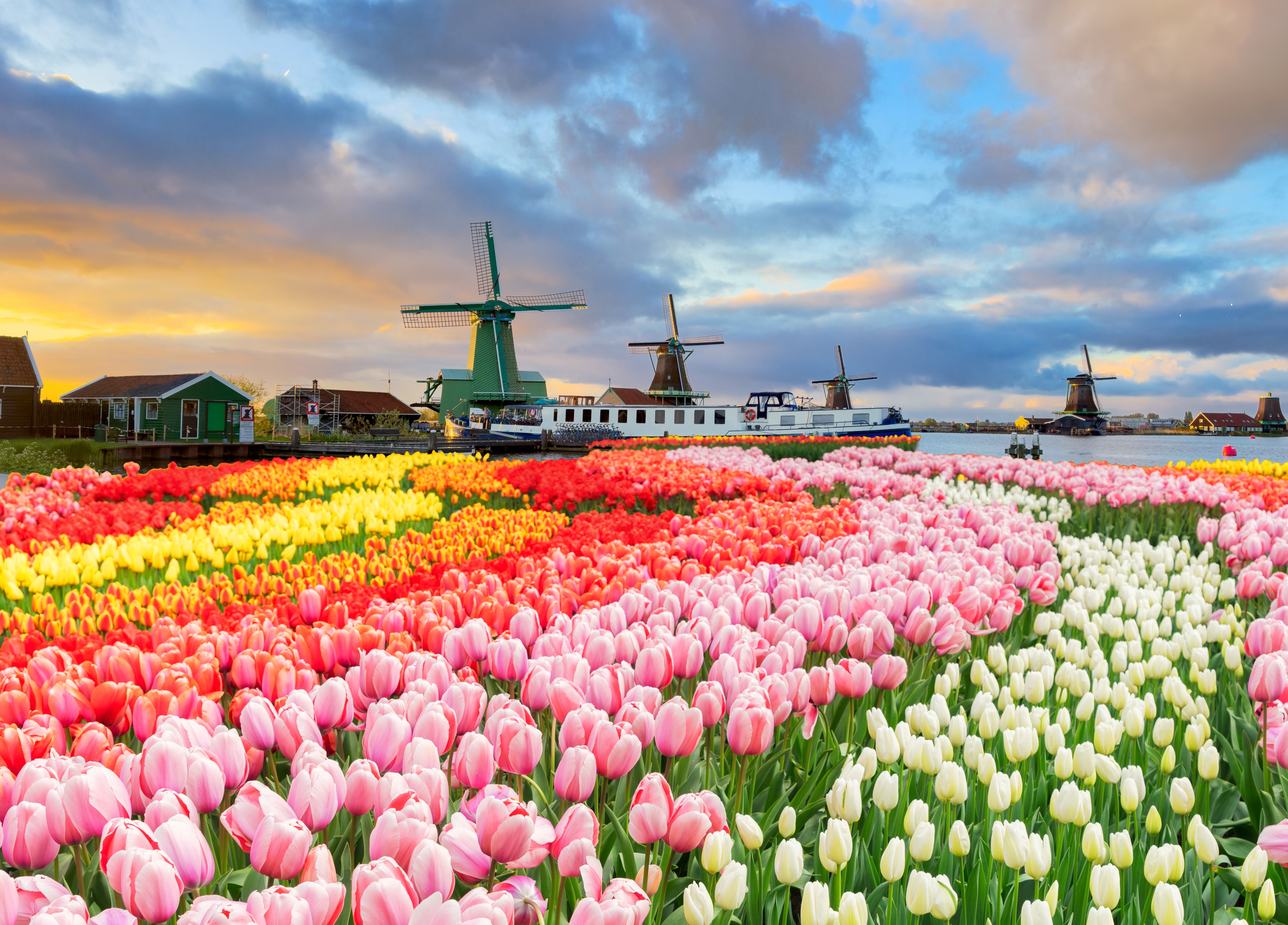 Doing Business in the Netherlands 2026