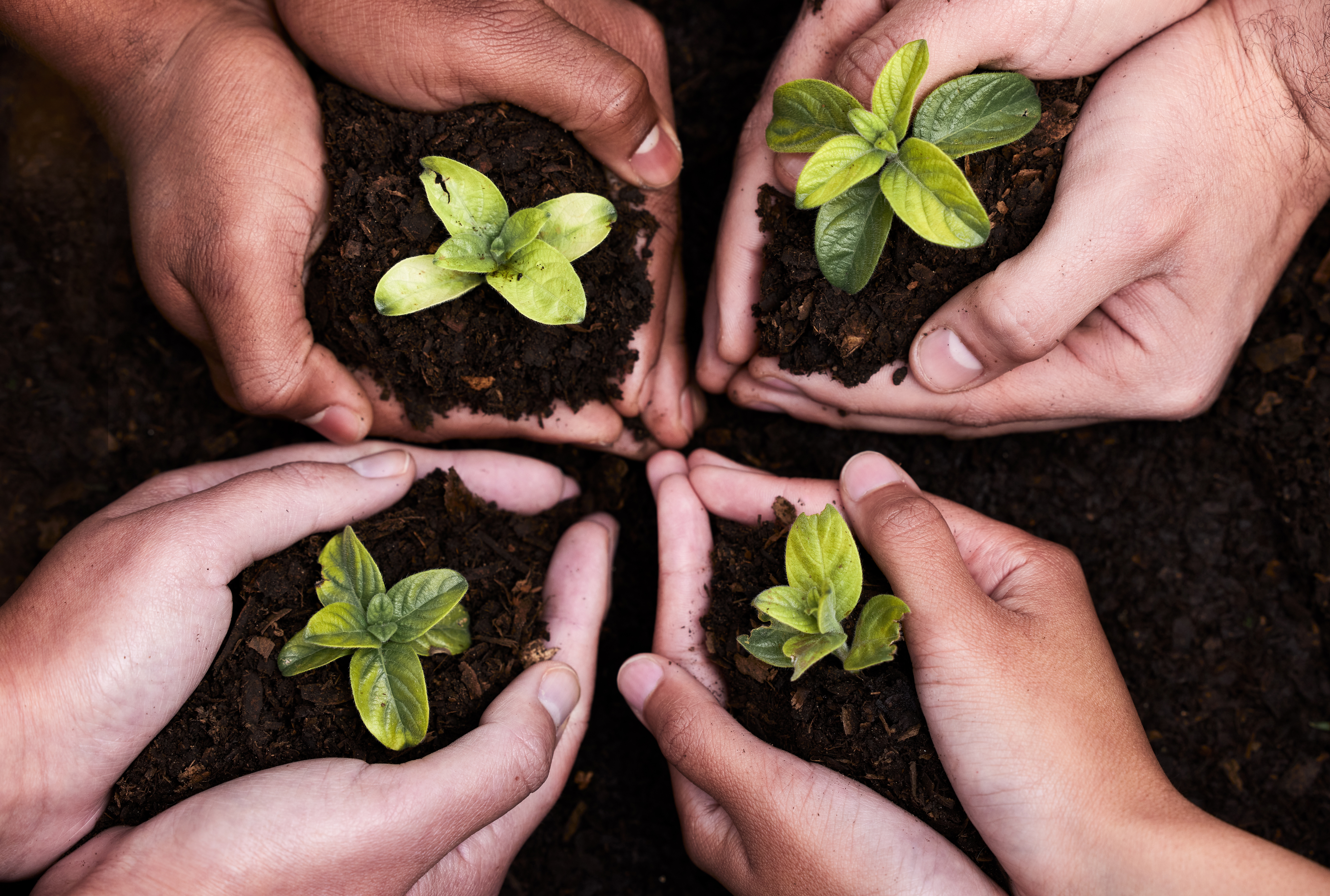 Global collaboration strengthens oversight for an international not-for-profit