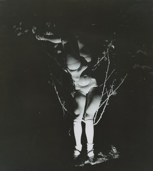 La Poupée [The Doll] by Hans Bellmer