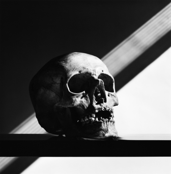 Skull by Robert Mapplethorpe | National Galleries of Scotland