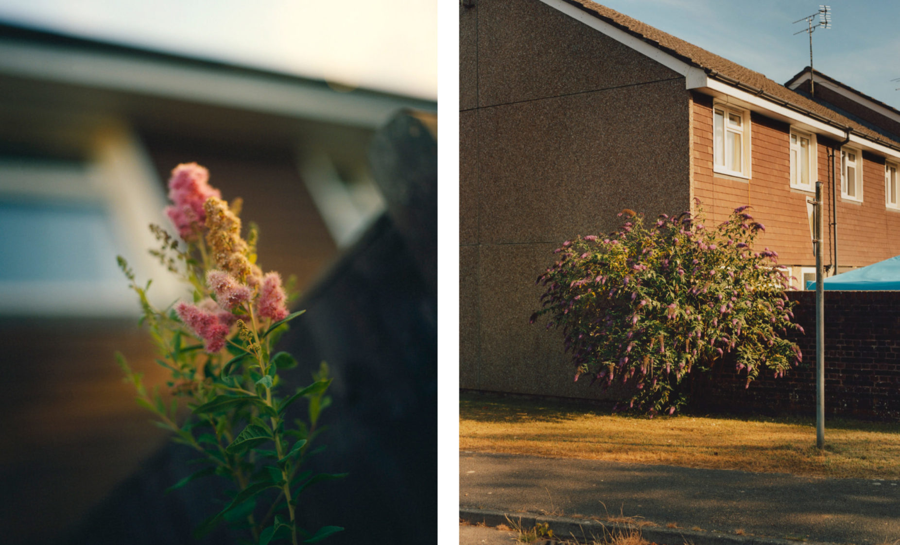 Whitehill and Bordon Niall O'Brien