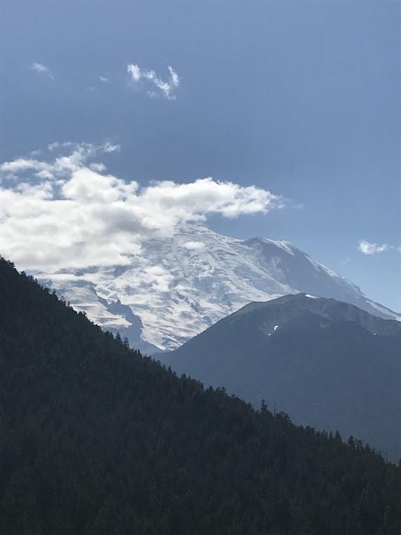 Mt. Rainier dominating the skyline while driving through Rainier National Park