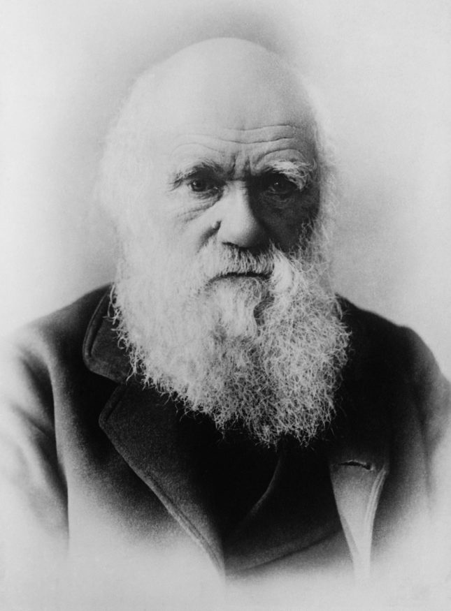 charles-darwin-62967_1280