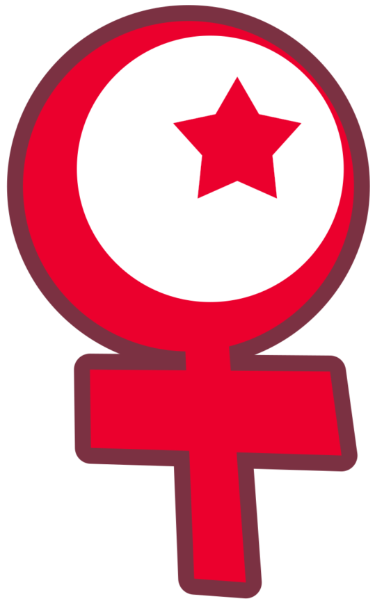 Islamitisch-Feminisme-symbool