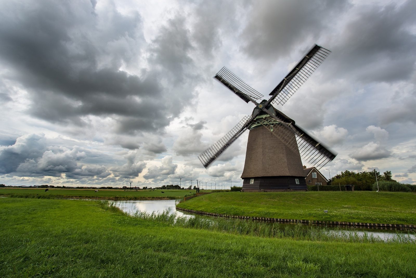 Molen
