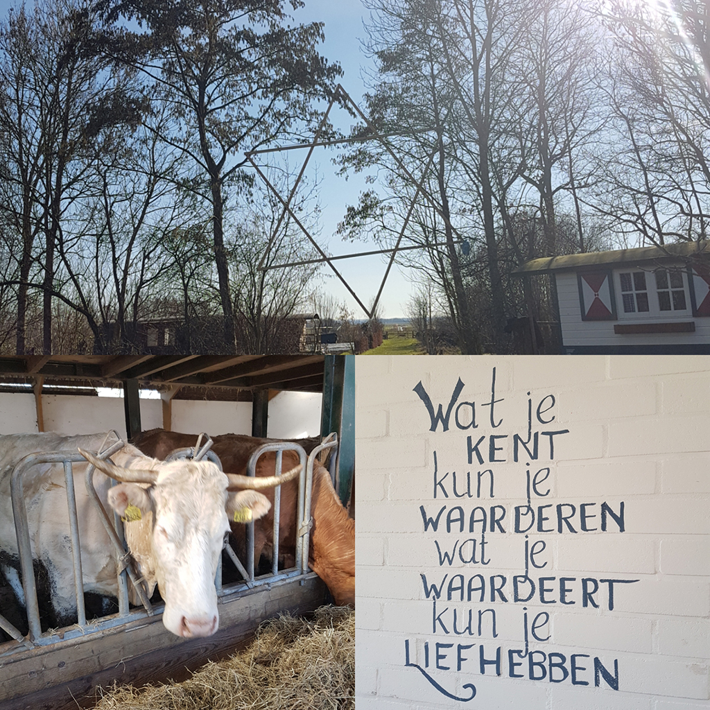 koe