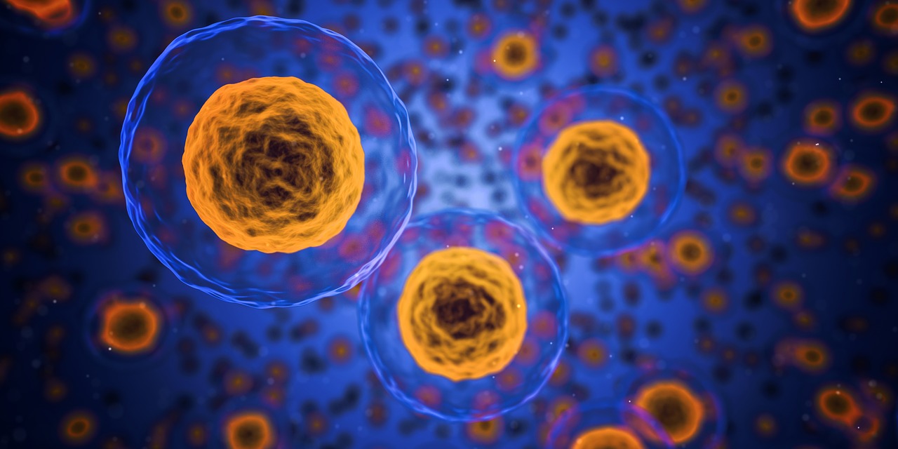 cells-1872666_1280