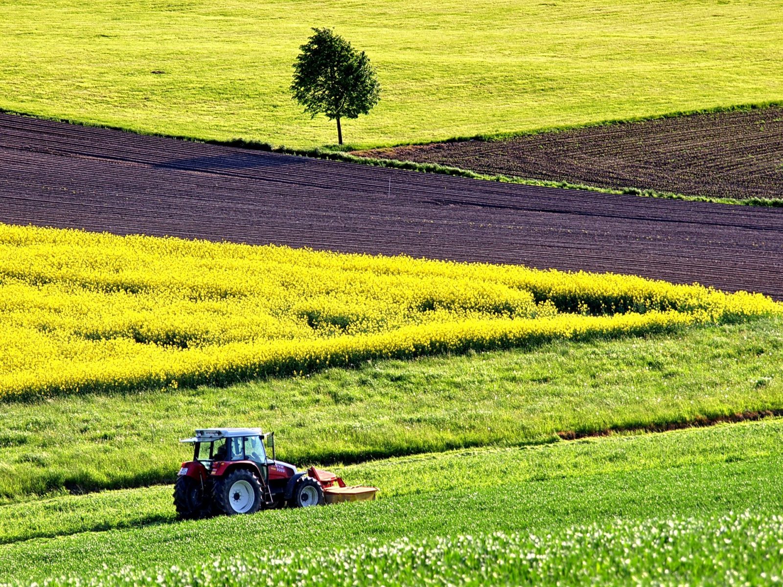 agriculture-1619437_1920