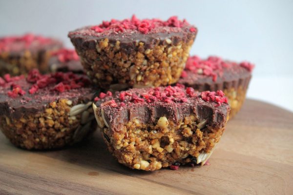 No-Bake Blueberry & Chocolate Bites