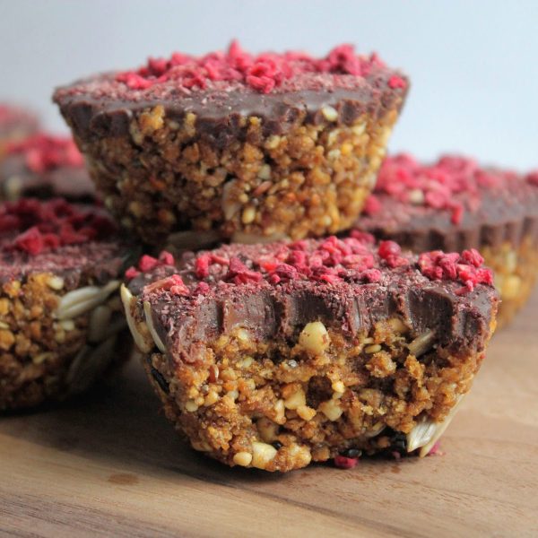 No-Bake Blueberry & Chocolate Bites