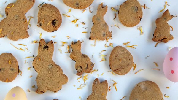 Simple Chocolate Chip Shortbread