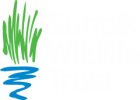 suffolk-wildlife