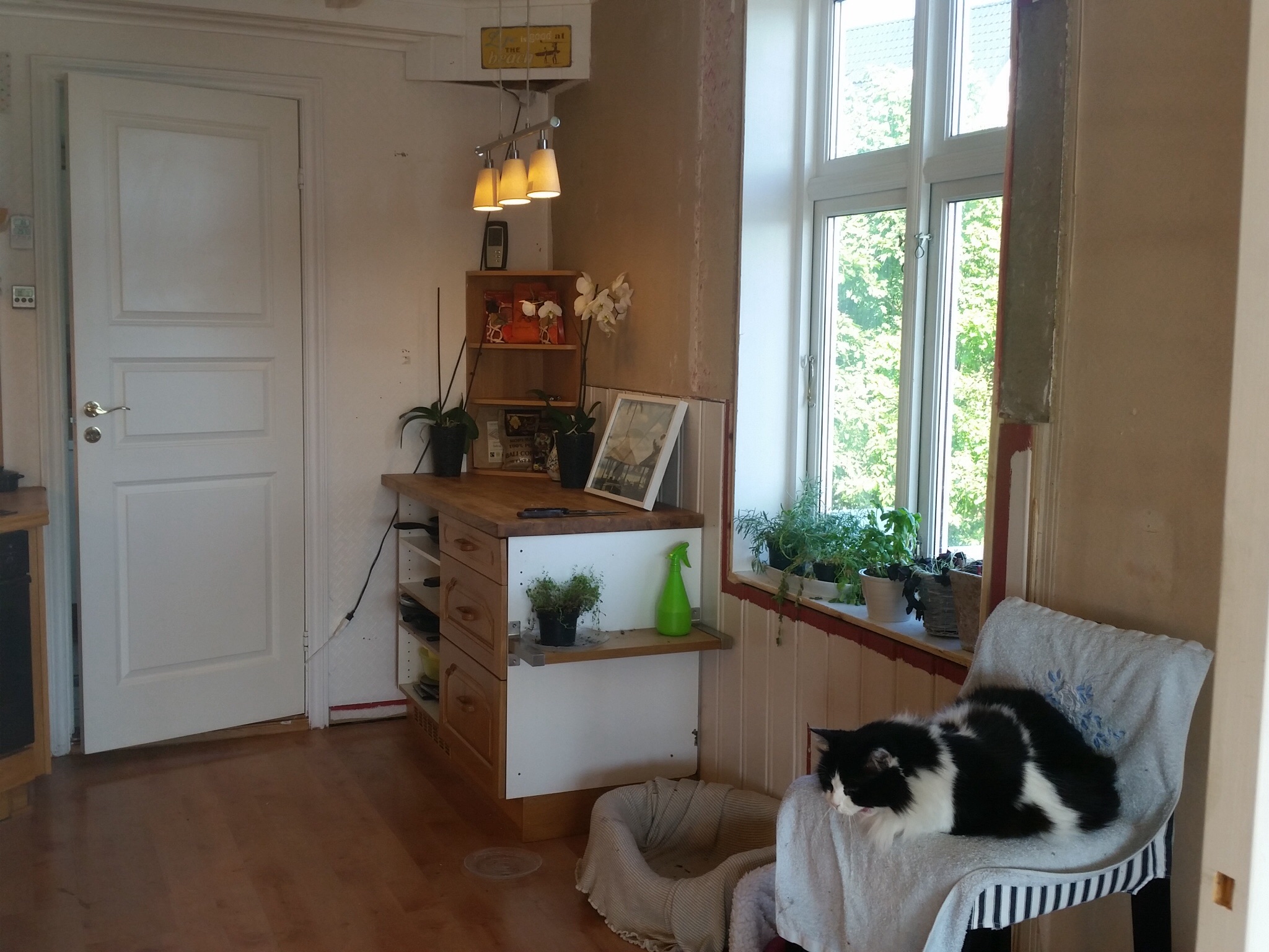 Fargeråd