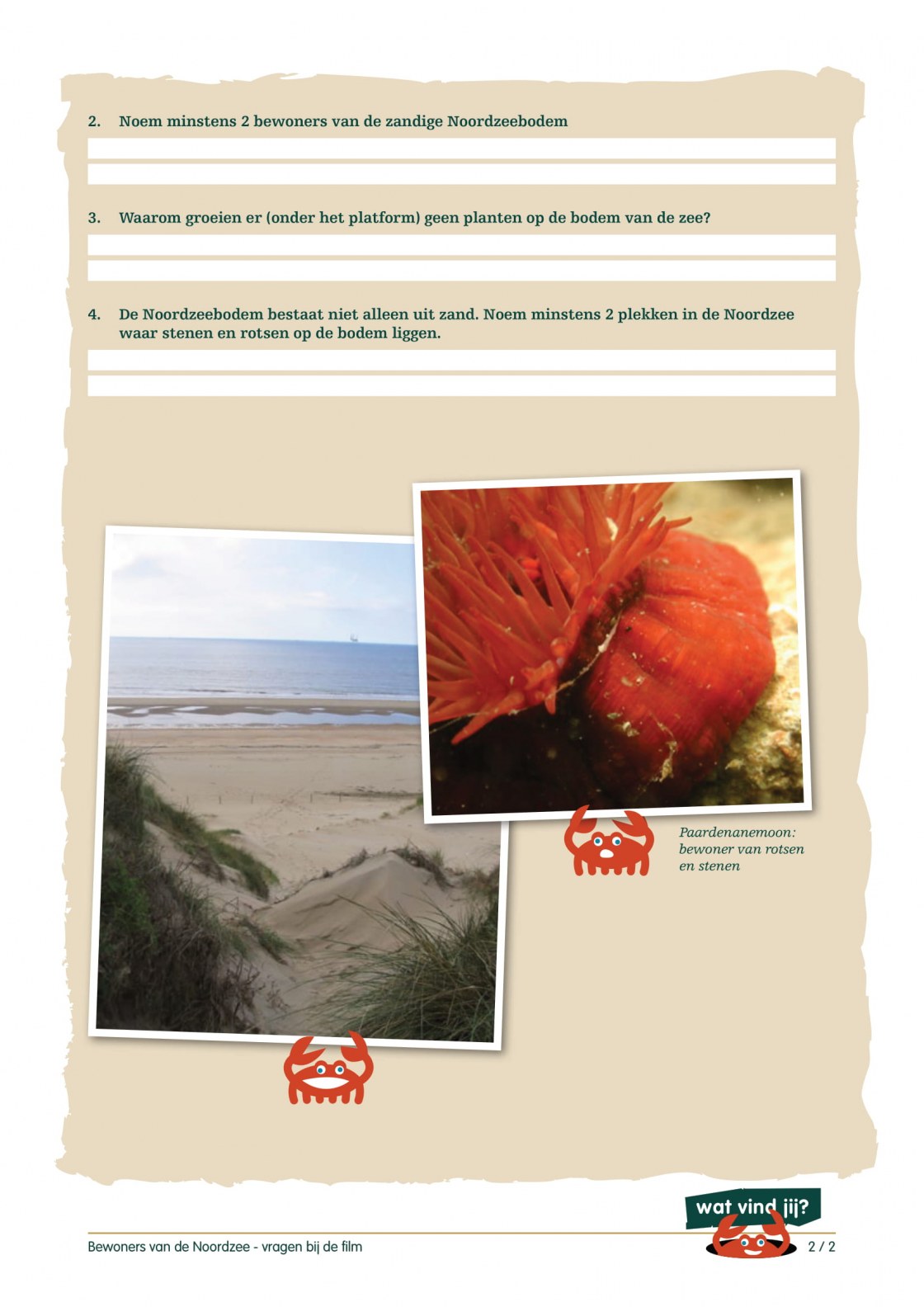 Bewoners_van_de_Noordzee_vragen_2