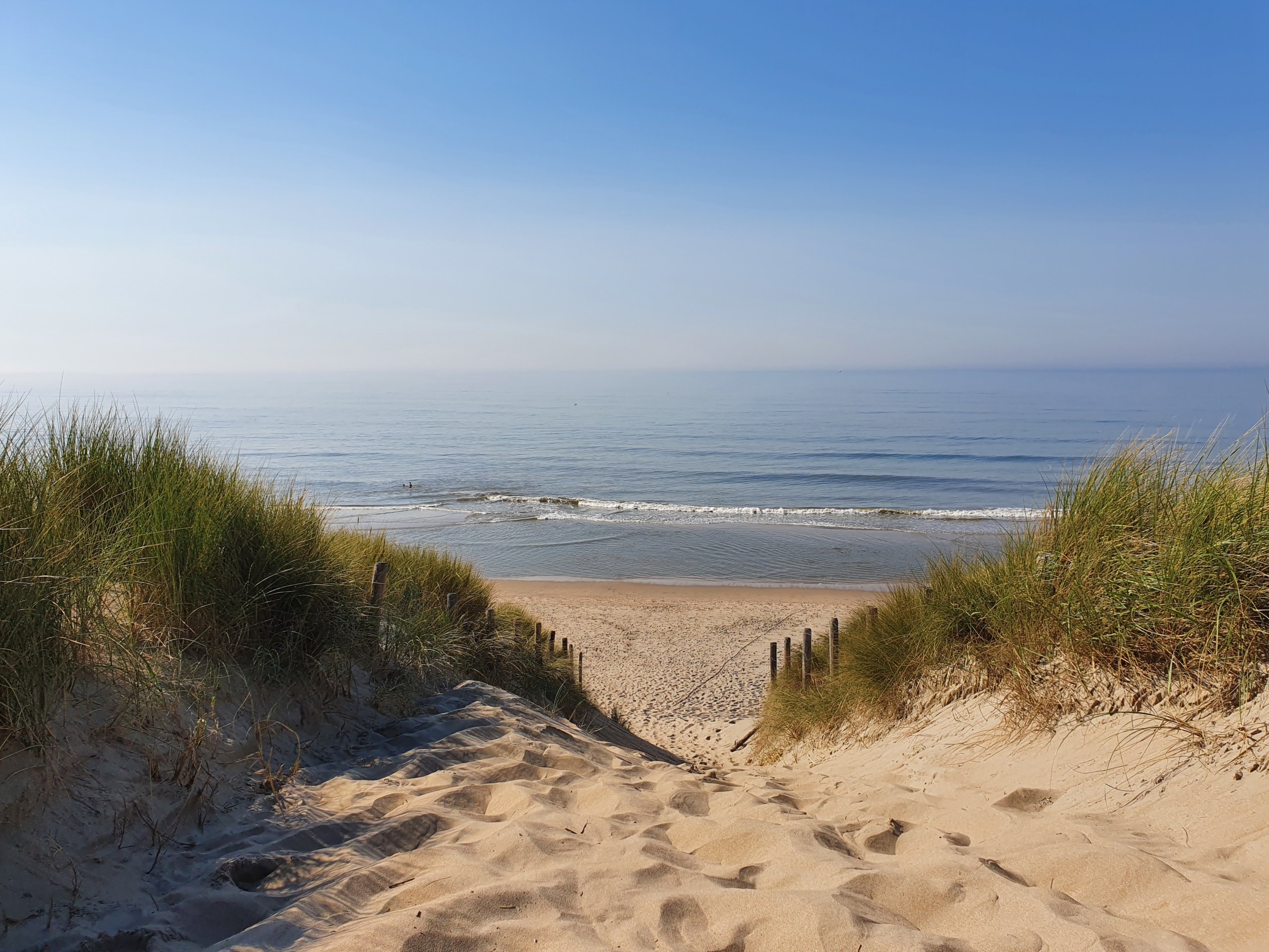 Wat betekent klimaatverandering voor de Noordzee? - Stichting De Noordzee