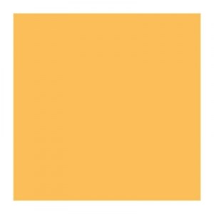 Napkins, Dunilin, 40cm, Orange, 600
