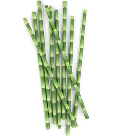 Paper Straws, Bamboo, 21cm, 6mm Bore, 250