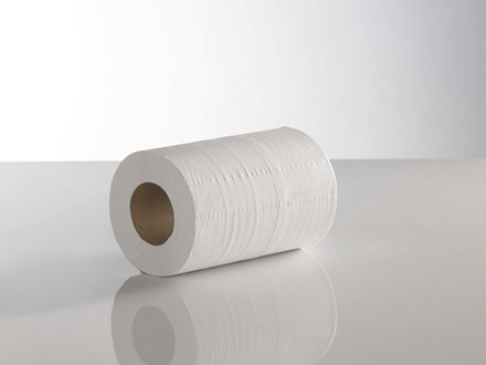 Handwipes, C/Feed, Mini, 2 Ply White, 60m, 12 Rolls