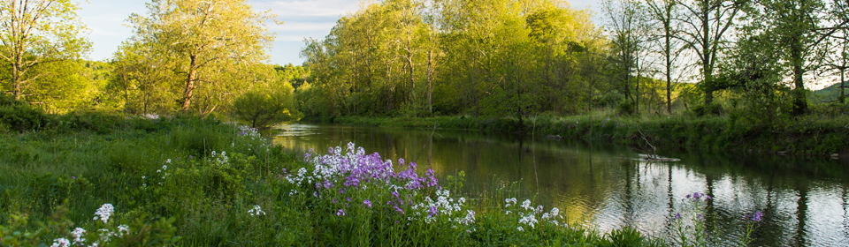 Meadow Lane, Virginia Hot Springs &mdash; discover the wonderfully secluded great outdoors