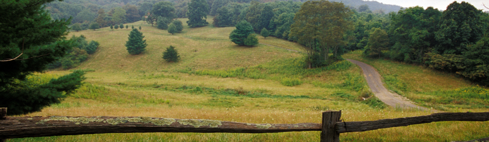 Discover the luxury of nature with Natural Retreats