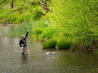 Things to do at Meadow Lane, Virginia Hot Springs