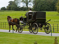 Horse and carriage rides at Castlemartyr, Co. Cork