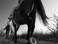 Horse riding at Tulloch, West Highlands