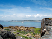Wonderful scenery at Trewhiddle, Cornwall