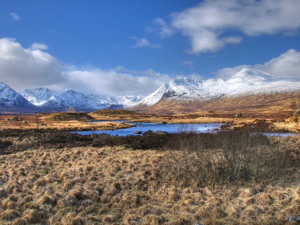 Natural Retreats Tulloch, West Highlands gallery
