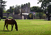 Castlemartyr