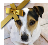 Christmas package