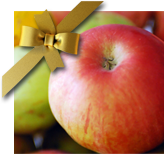 Christmas package