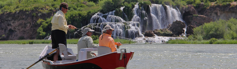 People fishing