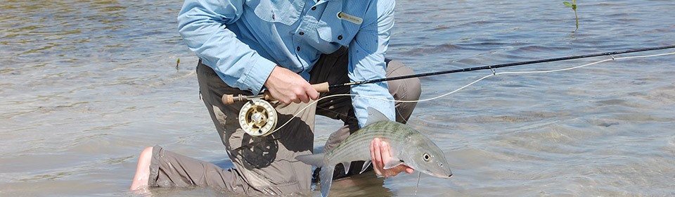 A  man with a large fish