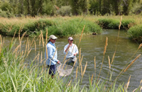People fishing