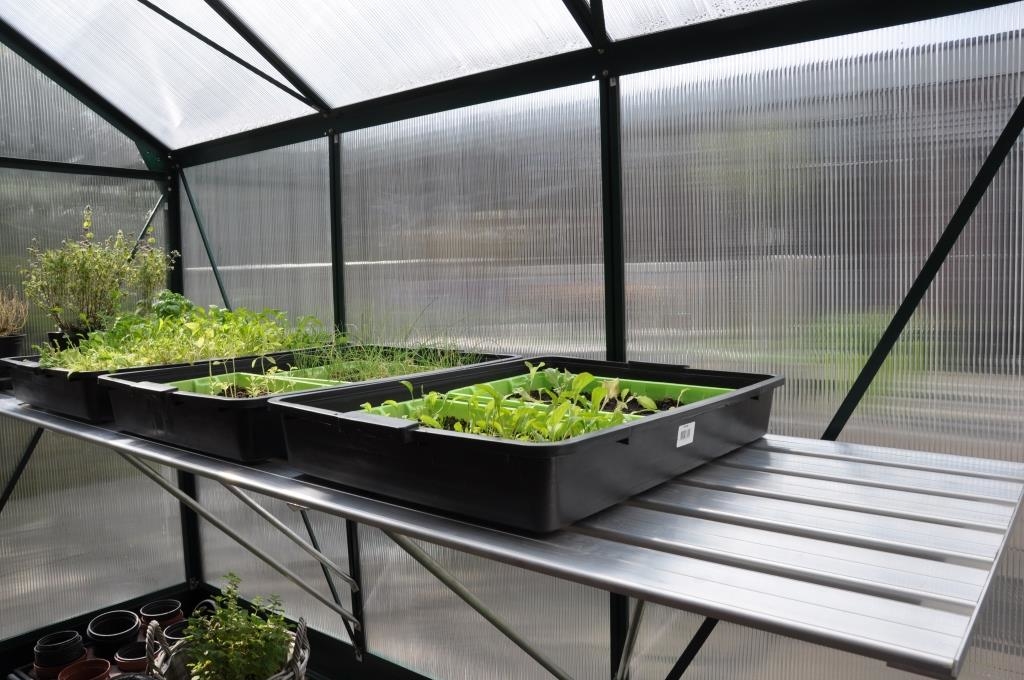 Royal Well Aluminium Grower 200 X 625 royal well kopen in de aanbieding