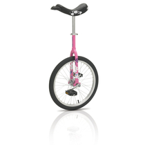 Kettler | Pink Flower 20"