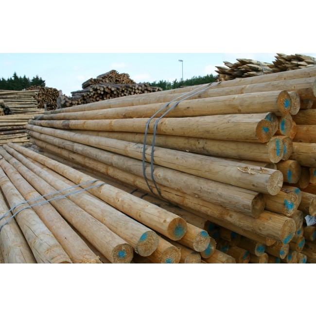 Westwood Dakspoor Geimpregneerd 750 westwood kopen in de aanbieding